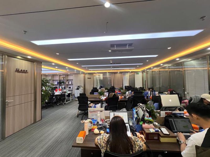 项目申报代理服务：企业发展的推手